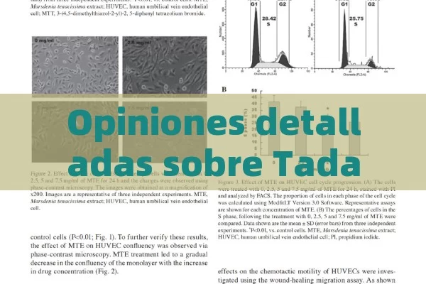 Opiniones detalladas sobre Tadalafilo 10 mg: análisis y reflexiones