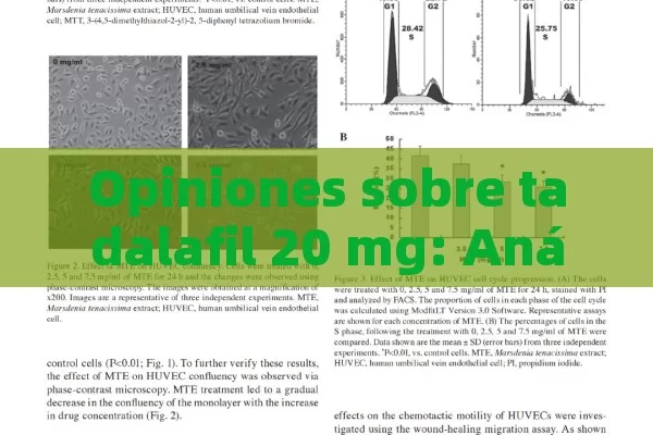 Opiniones sobre tadalafil 20 mg: Análisis y reflexiones